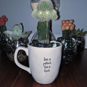 Meet your Posher, Bailey